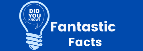 Fantastic Facts