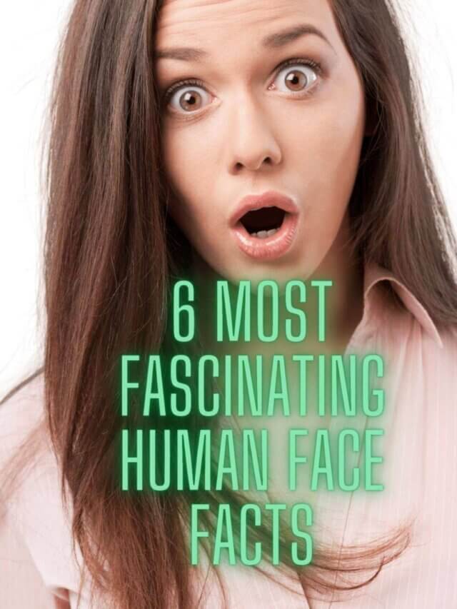 6 Fascinating Facial Facts